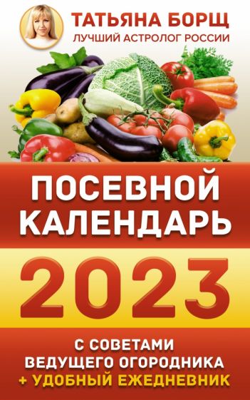 Планы на лето 2023