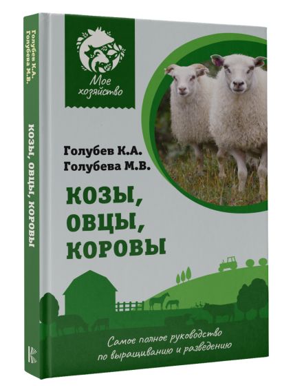 Идеи на тему «Козы, бараны» () | козы, овца, овечье искусство